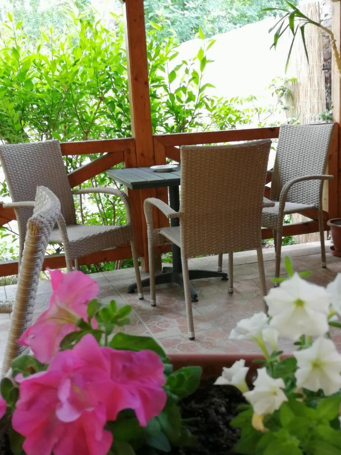 Karpatia Panzio Bed & Breakfast Esztergom Eksteriør bilde